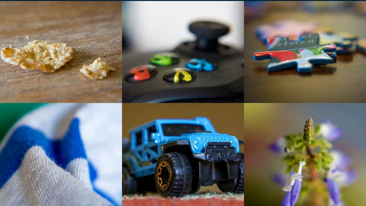 Stuck At Home? Explore Your Home With Macro Photography
