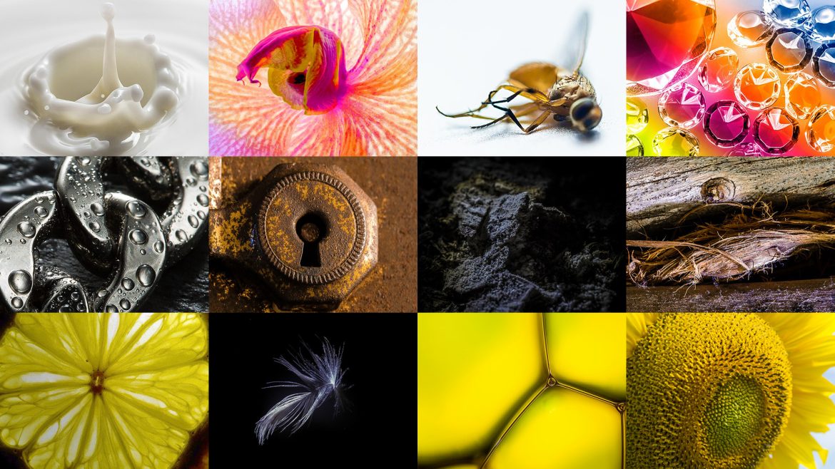 Stuck At Home? Try This Macro Photography Ideas