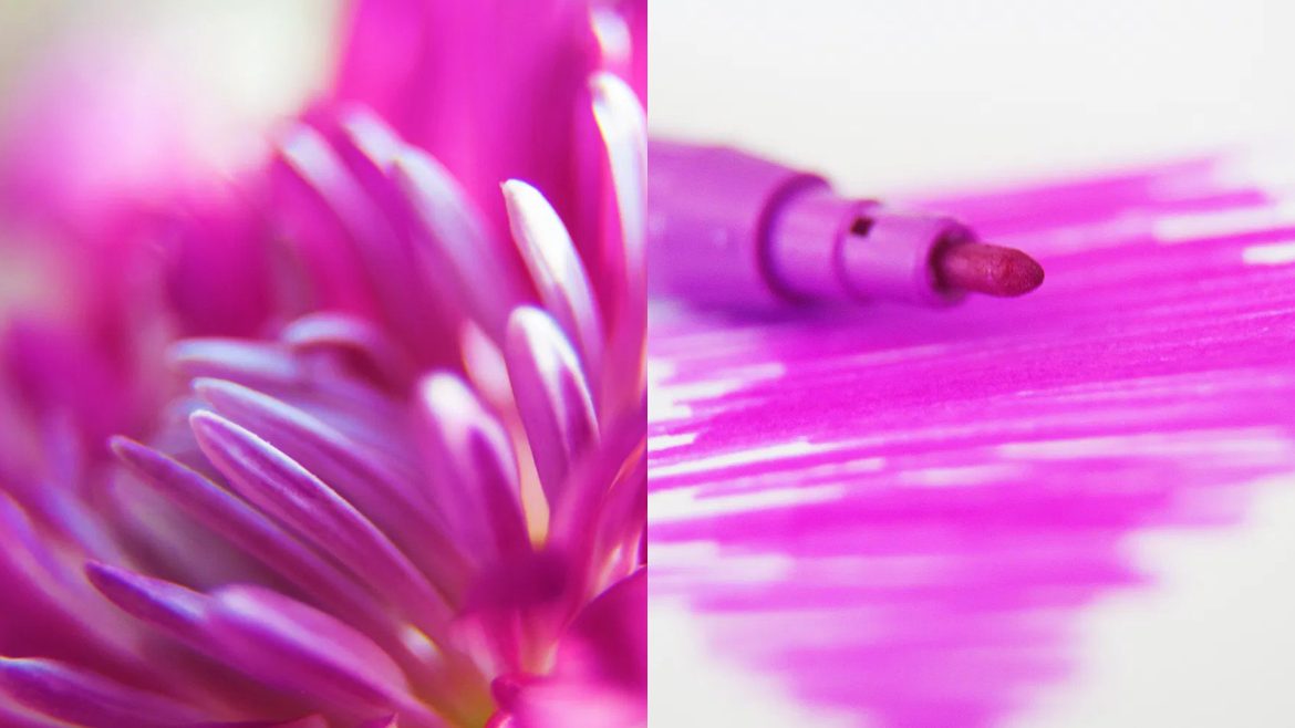 Mastering Color – The Psychology Of The Color Purple And Its Use In Photography