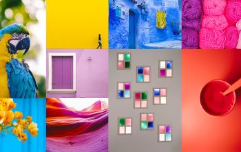 10 Tips For Using Vibrant Colors For Colorful Photography