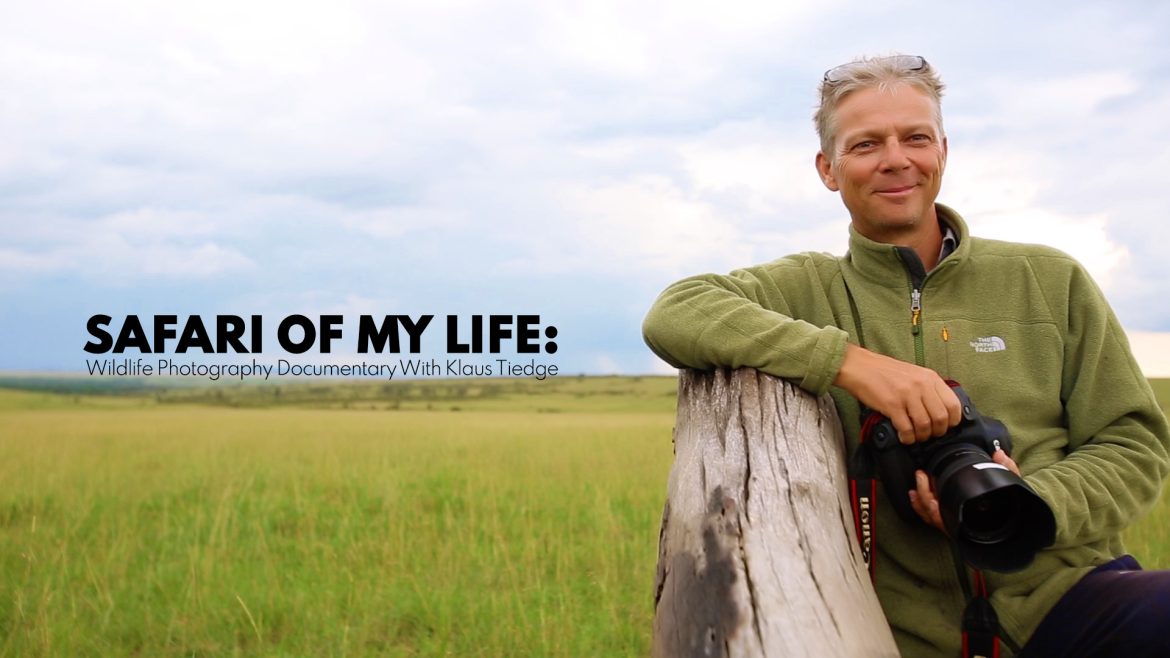 Safari Of My Life: Wildlife Photography Documentary With Klaus Tiedge